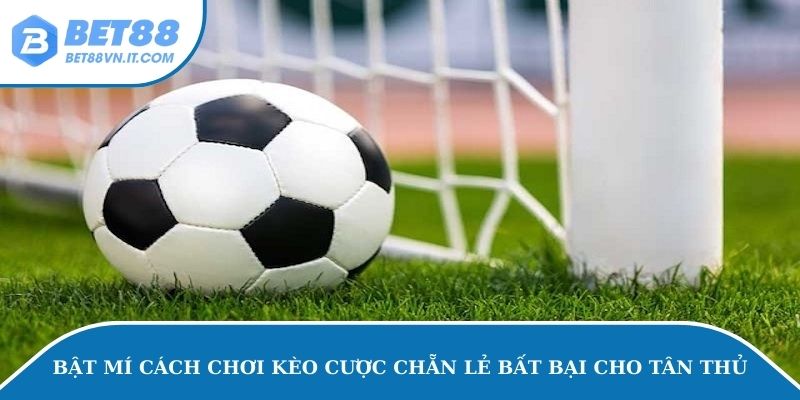 Kèo Chẵn Lẻ – Mẹo Chơi Cá Cược Bách Thắng Bách Trúng Bật mí cách chơi kèo cược chẵn lẻ bất bại cho tân thủ