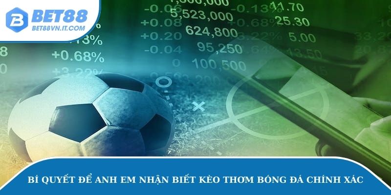 Kèo Thơm Bóng Đá – Tất Tần Tật Thông Tin Về Kèo cá độ Bí quyết để anh em nhận biết kèo thơm bóng đá chính xác