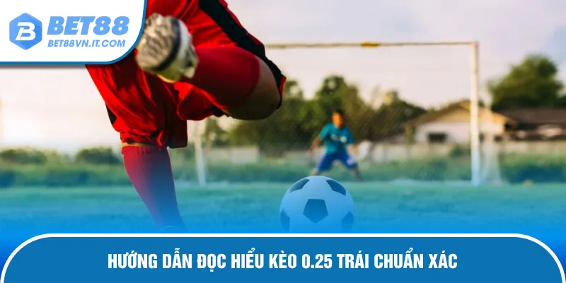 Tổng hợp các loại kèo đồng nửa đặc biệt