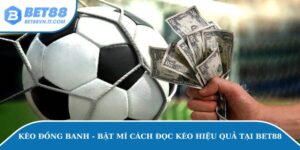 Kèo Đồng Banh - Bật Mí Cách Đọc Kèo Hiệu Quả Tại Bet88 Kèo Đồng Banh