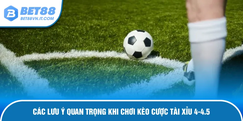 Kèo Tài Xỉu 4-4.5 Là Gì? Mẹo Chốt Siêu Lợi Nhuận Vấn đề cần chú ý khi cược tài xỉu 4-4.5