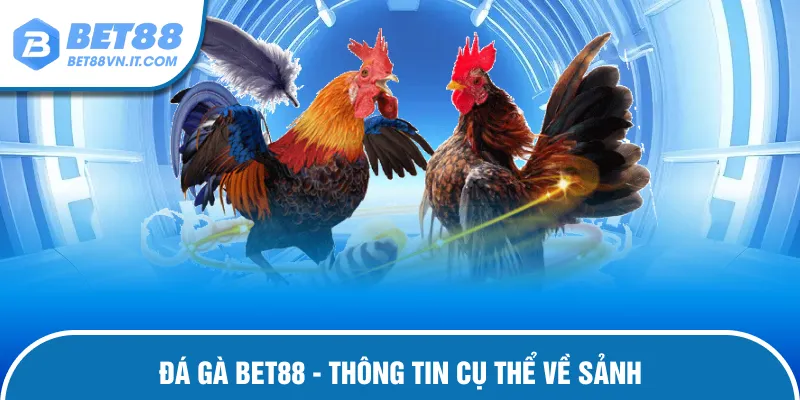 Đá Gà Bet88 – Chiến Kê Tranh Tài Trận Đấu Cực Kỳ Mãn Nhãn Thông tin chi tiết nhất về đá gà Bet88